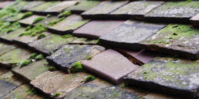 Marros roof repair costs